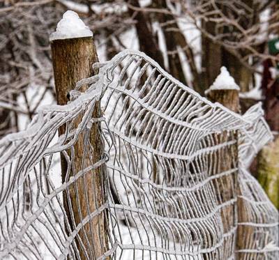 Frozen Fence