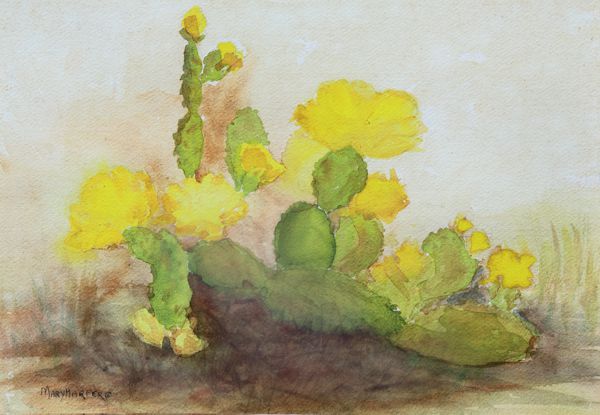 Desert Flowers